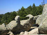 Monte Limbara - Granitfelsfiguren